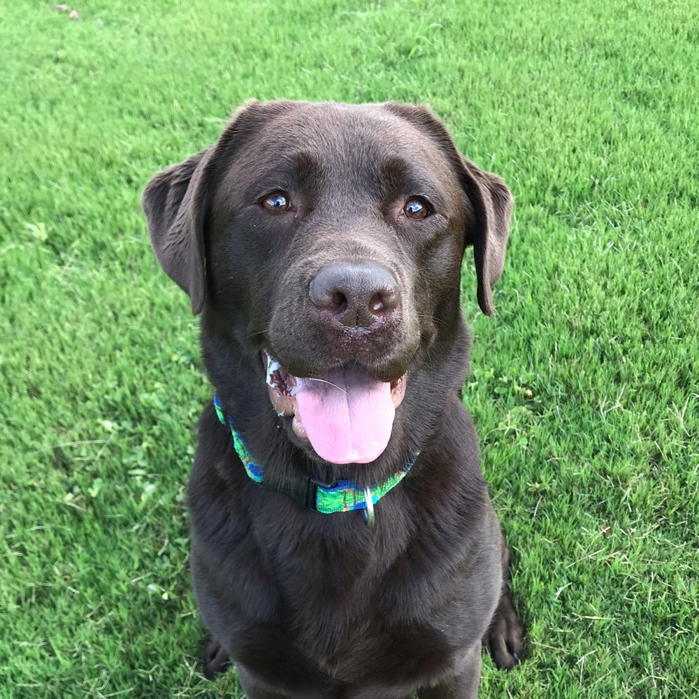 Meet your Posher, Catherine